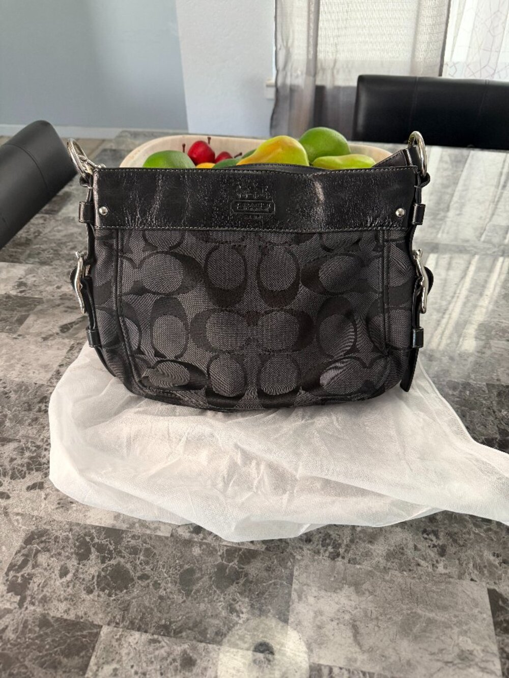 Coach Zoe Hobo